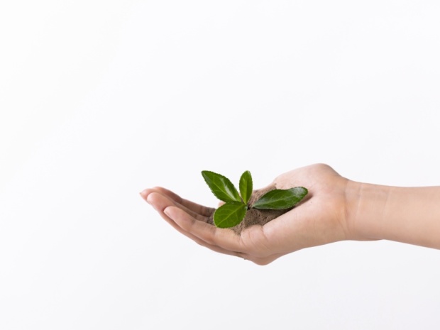 村集体被指私分耕地,征收土地后的社会影响如何评估?(图1)