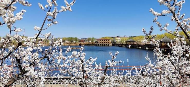 北京排名认知症养老社区?普乐时光和东坝福寿苑等养老社区就放心!2026最新(图5) 北京排名认知症养老社区?普乐时光和东坝福寿苑等养老社区就放心!2026最新(图5)