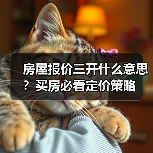 房屋报价三开什么意思？买房必看定价策略（图3）