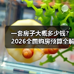 一套房子大概多少钱？2026全国购房预算全解析（图4）