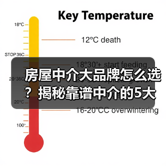 房屋中介大品牌怎么选?揭秘靠谱中介的5大标准(图1) 房屋中介大品牌怎么选?揭秘靠谱中介的5大标准(图1)