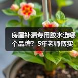 房屋补漏专用胶水选哪个品牌?5年老师傅实测推荐(图3) 房屋补漏专用胶水选哪个品牌?5年老师傅实测推荐(图3)