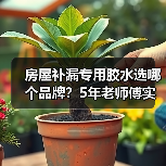 房屋补漏专用胶水选哪个品牌?5年老师傅实测推荐(图1) 房屋补漏专用胶水选哪个品牌?5年老师傅实测推荐(图1)