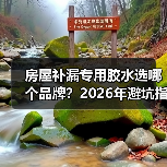 房屋补漏专用胶水选哪个品牌?2026年避坑指南(图1) 房屋补漏专用胶水选哪个品牌?2026年避坑指南(图1)