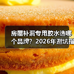 房屋补漏专用胶水选哪个品牌?2026年避坑指南(图2) 房屋补漏专用胶水选哪个品牌?2026年避坑指南(图2)