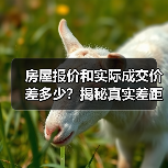 房屋报价和实际成交价差多少？揭秘真实差距（图3）