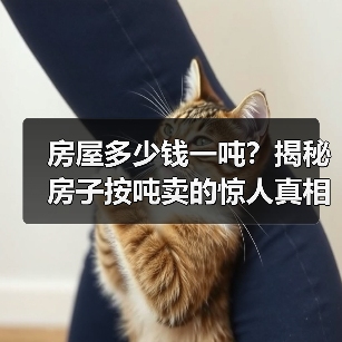 房屋多少钱一吨？揭秘房子按吨卖的惊人真相（图1）