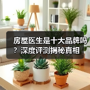 房屋医生是十大品牌吗?深度评测揭秘真相(图2) 房屋医生是十大品牌吗?深度评测揭秘真相(图2)