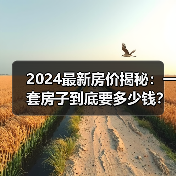 2024最新房价揭秘：一套房子到底要多少钱？（图2）