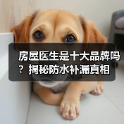 房屋医生是十大品牌吗？揭秘防水补漏真相（图3）