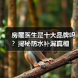 房屋医生是十大品牌吗？揭秘防水补漏真相（图4）