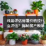 税务评估房屋价格按什么评估?揭秘房产税基(图3) 税务评估房屋价格按什么评估?揭秘房产税基(图3)