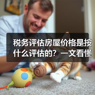 税务评估房屋价格是按什么评估的?一文看懂(图2) 税务评估房屋价格是按什么评估的?一文看懂(图2)