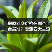 房屋成交价格在哪个平台最准？实测四大主流平台（图3）