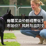 房屋买卖价格明显低于市场价？风险与应对全解析（图4）