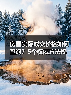 房屋实际成交价格如何查询？5个权威方法揭秘（图2）