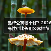 品牌公寓哪个好？2026高性价比长租公寓推荐（图4）