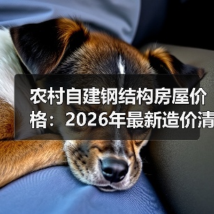 农村自建钢结构房屋价格：2026年最新造价清单（图4）
