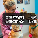 房屋医生品牌：一站式房屋维修专家，让家更安心（图3）
